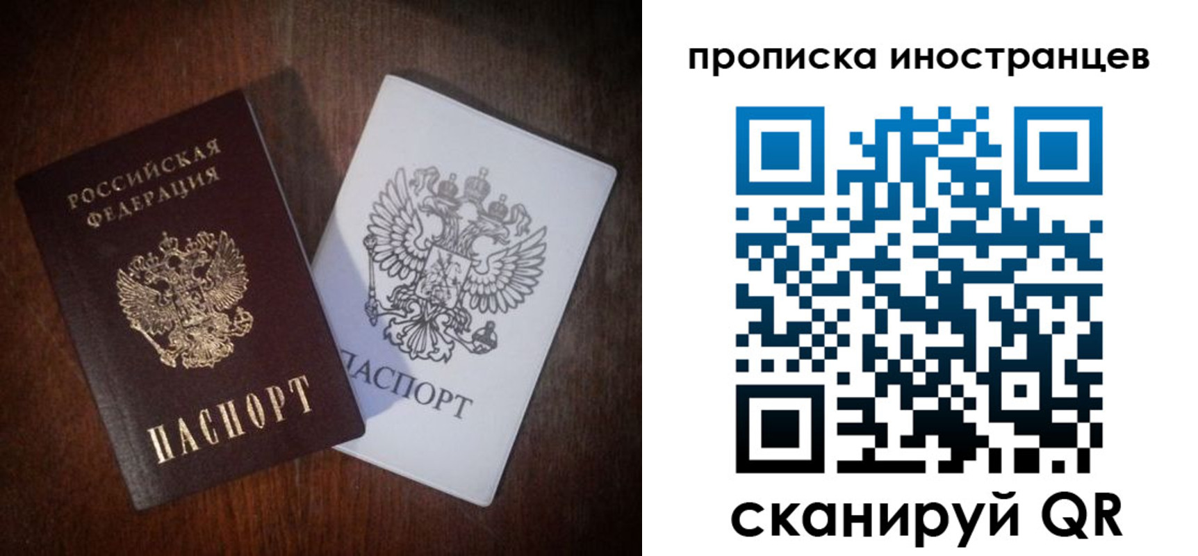 прописка гарантия в Ногинске